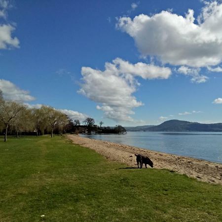 Great View Near Rotorua Lake Extérieur photo