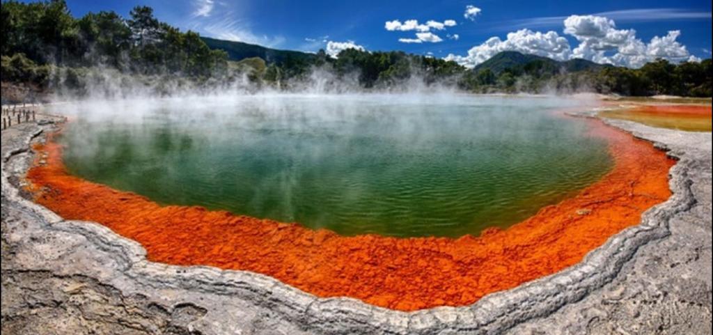 Great View Near Rotorua Lake Extérieur photo